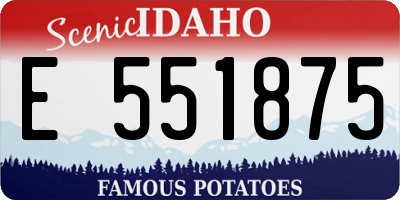 ID license plate E551875