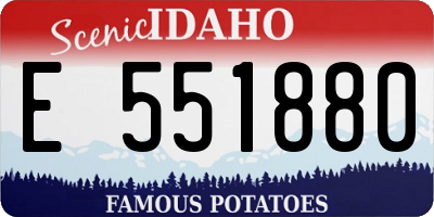 ID license plate E551880