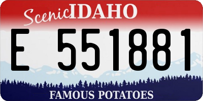 ID license plate E551881