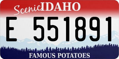 ID license plate E551891