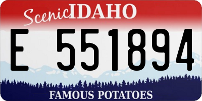 ID license plate E551894