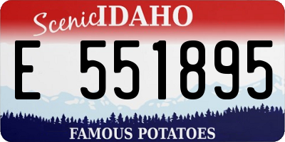 ID license plate E551895