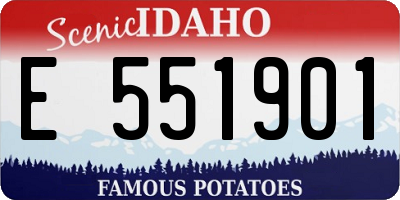 ID license plate E551901