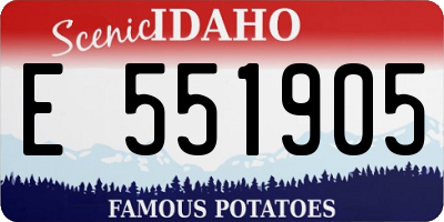 ID license plate E551905