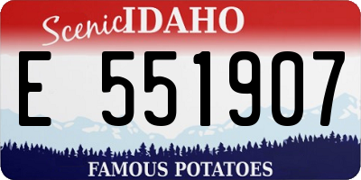 ID license plate E551907