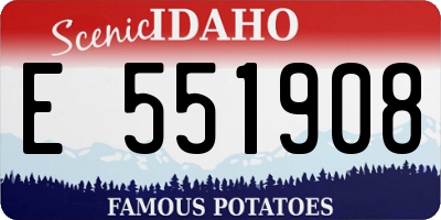 ID license plate E551908