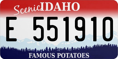 ID license plate E551910
