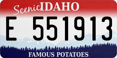 ID license plate E551913