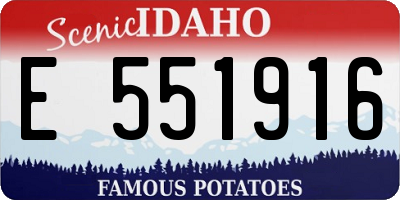 ID license plate E551916