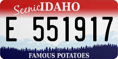 ID license plate E551917