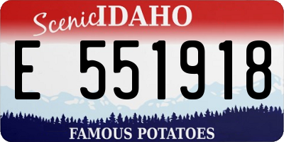 ID license plate E551918