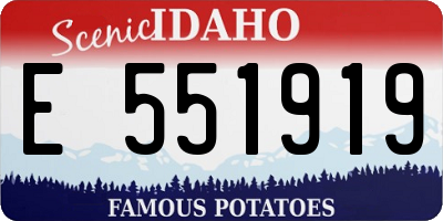 ID license plate E551919