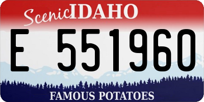ID license plate E551960