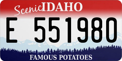 ID license plate E551980