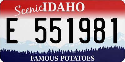 ID license plate E551981
