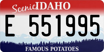 ID license plate E551995