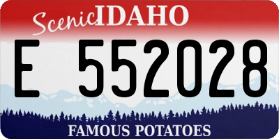 ID license plate E552028