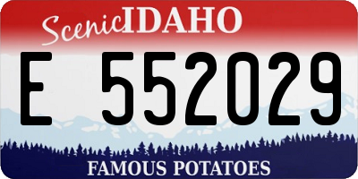 ID license plate E552029