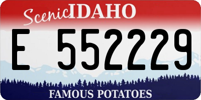 ID license plate E552229