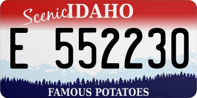 ID license plate E552230