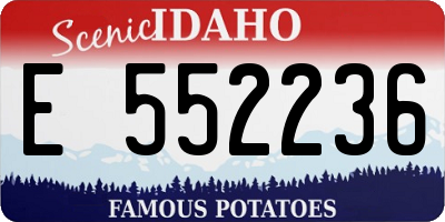 ID license plate E552236