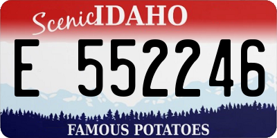 ID license plate E552246