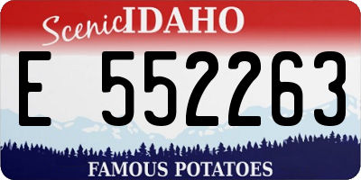 ID license plate E552263