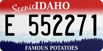 ID license plate E552271