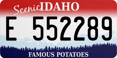 ID license plate E552289