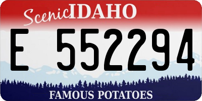 ID license plate E552294