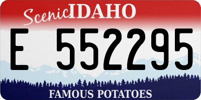 ID license plate E552295