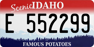 ID license plate E552299