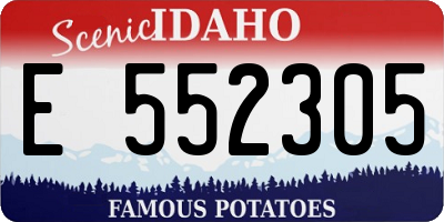 ID license plate E552305