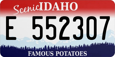 ID license plate E552307