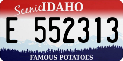 ID license plate E552313