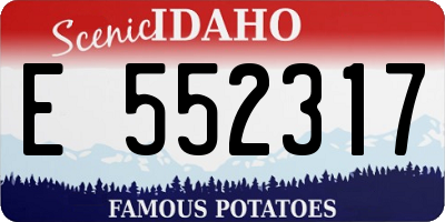 ID license plate E552317