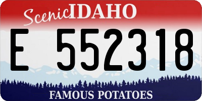 ID license plate E552318