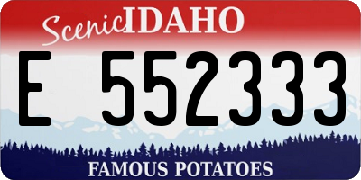 ID license plate E552333