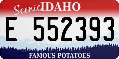 ID license plate E552393