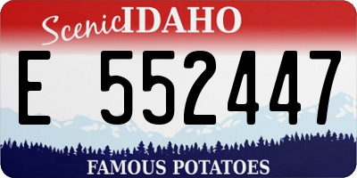 ID license plate E552447