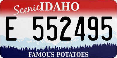 ID license plate E552495