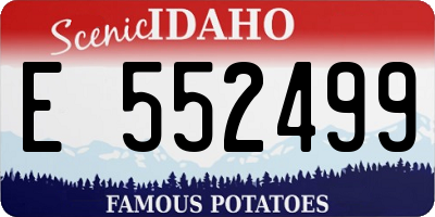 ID license plate E552499