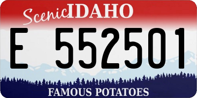 ID license plate E552501