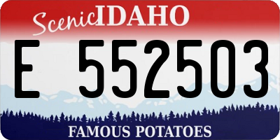 ID license plate E552503