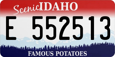 ID license plate E552513