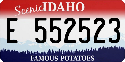 ID license plate E552523
