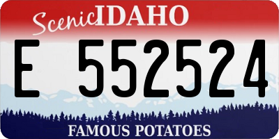 ID license plate E552524