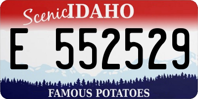 ID license plate E552529