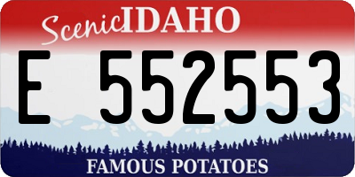 ID license plate E552553