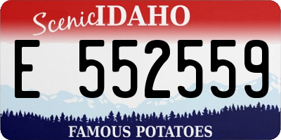 ID license plate E552559